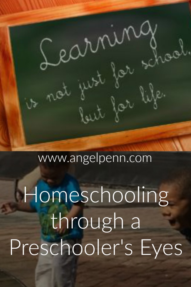 I am a relatively new homeschooling mom. My oldest son is a high school junior and attends public school. However, when I started staying home a few years ago, I started to think about things a little differently. 