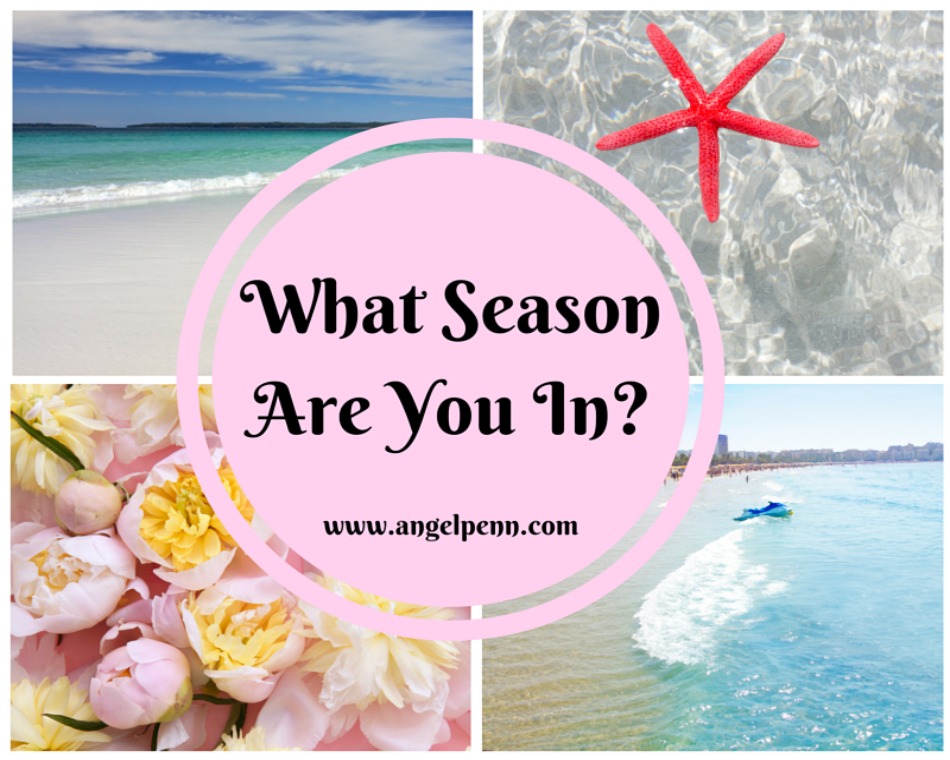 What season are you in?