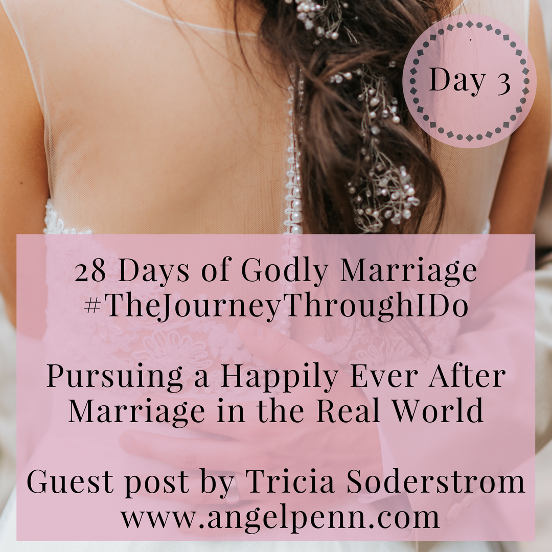 Pursuing a Happily Ever After Marriage in the Real World